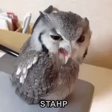 Owl Stahp
